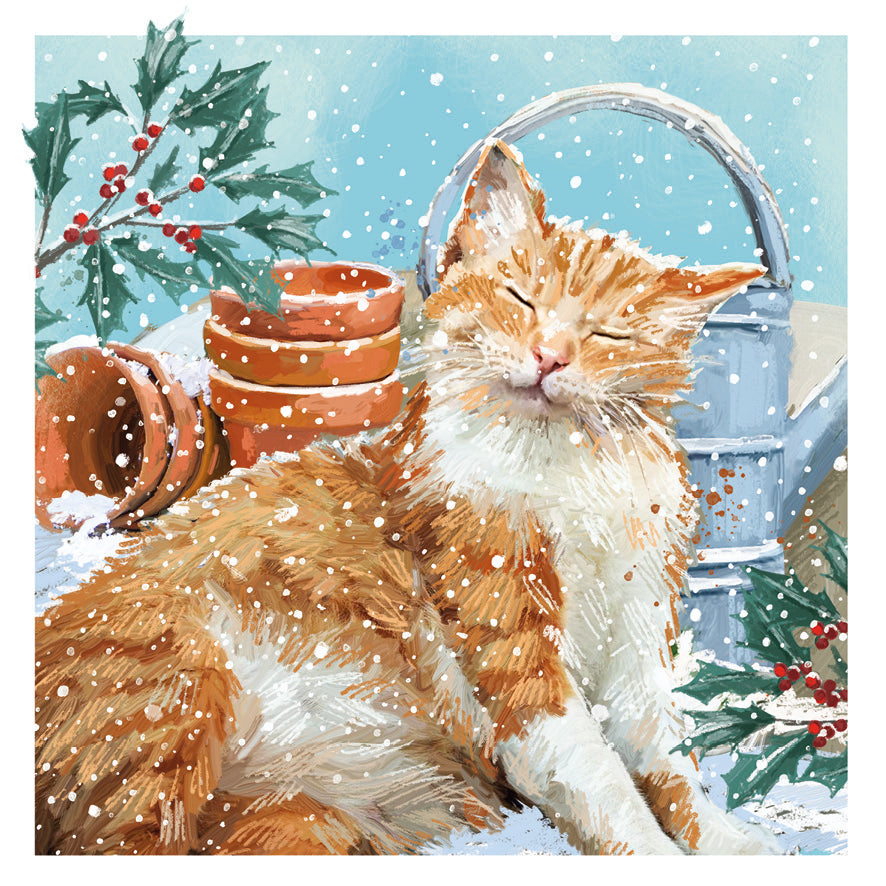 Happy Cat
