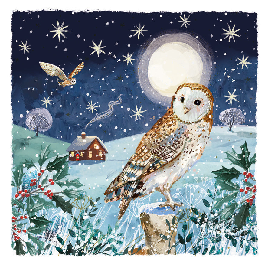 Winter Lookout