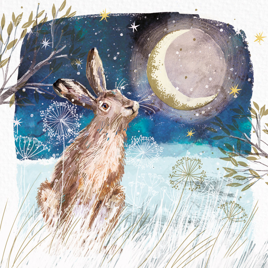 Hare in the Moonlight