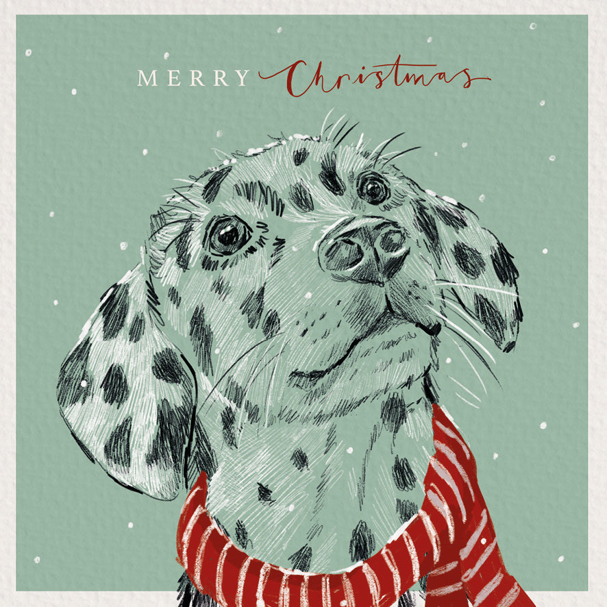 Christmas Dalmation