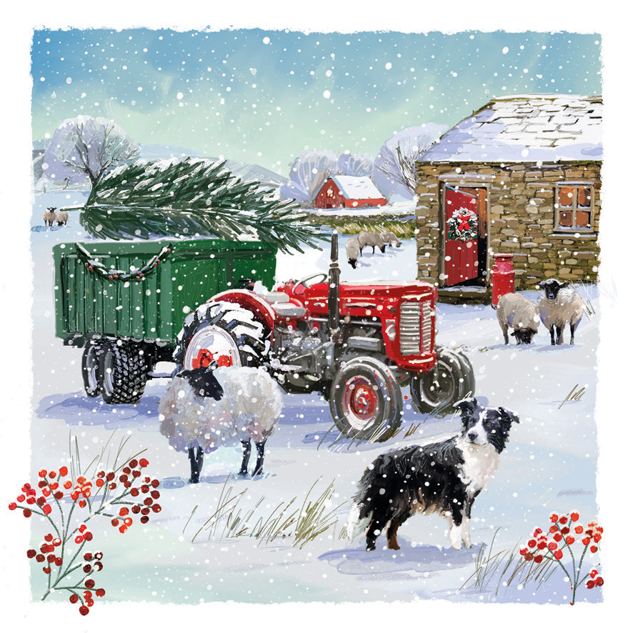Snow On The Farm and Horse Friends - Twin Pack