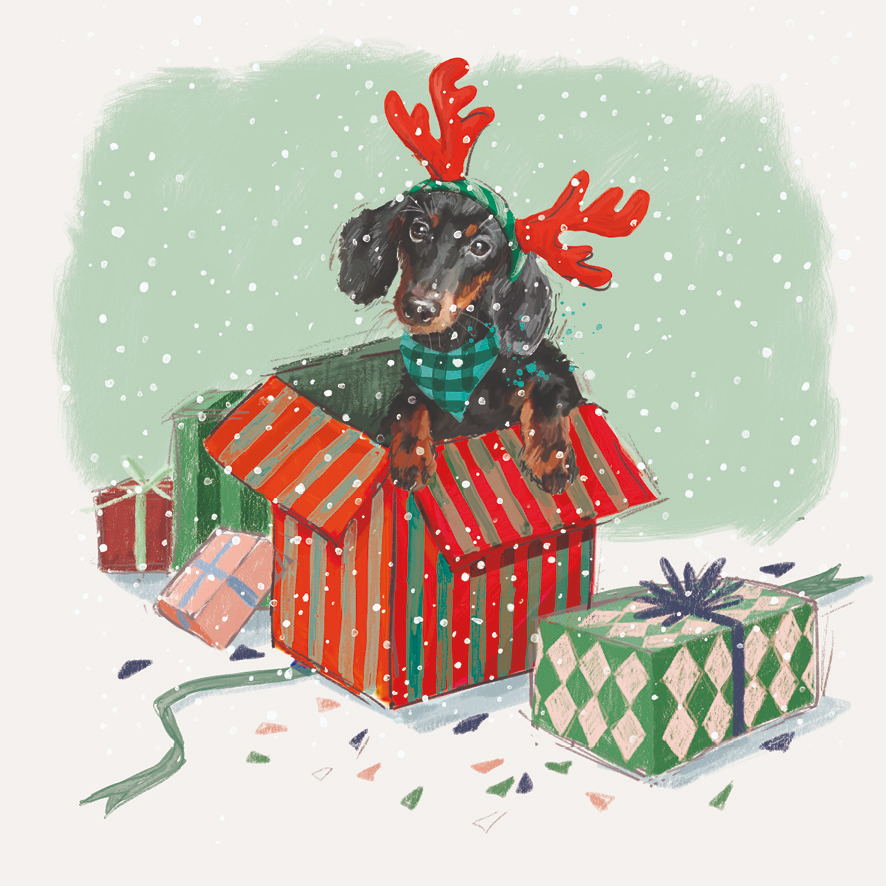 Christmas Wish