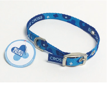 Blue Cross dog collar - single webbing