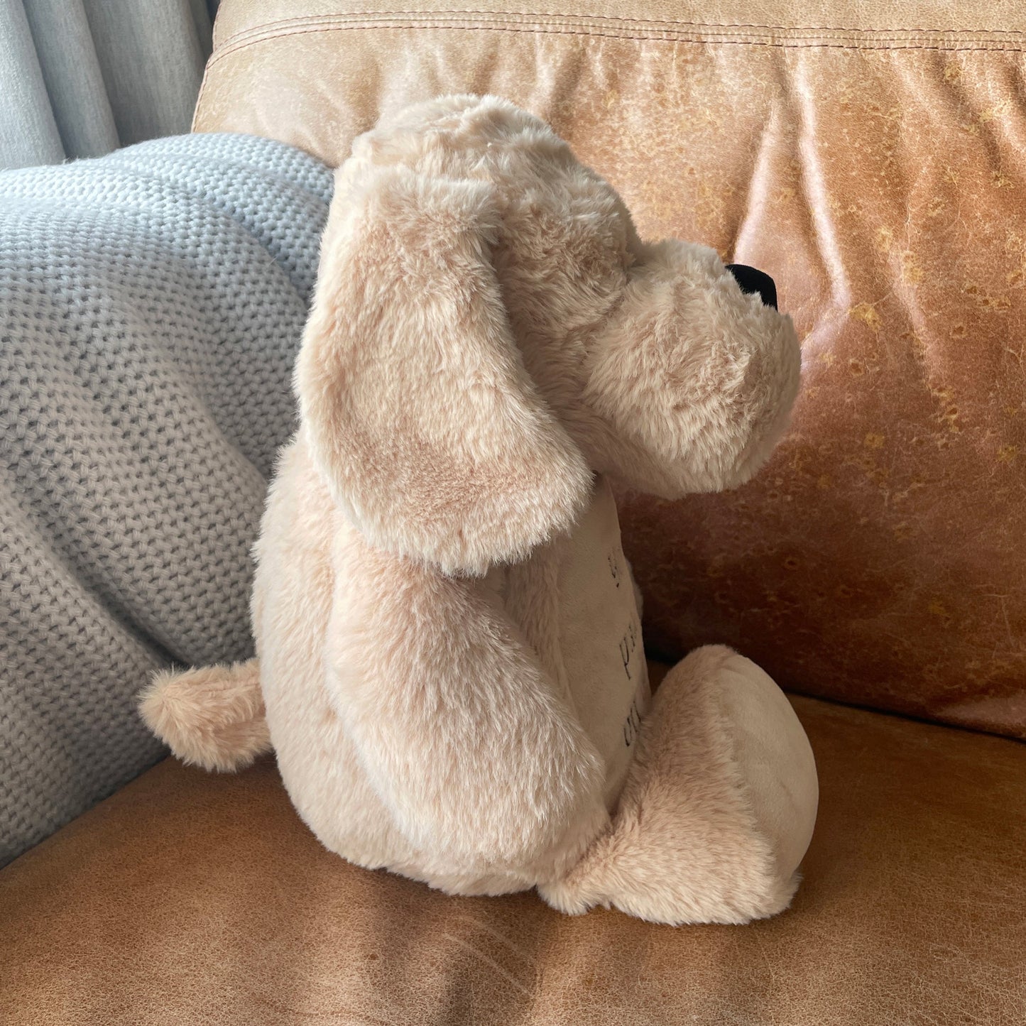 Comfort Dog - Oh So Precious