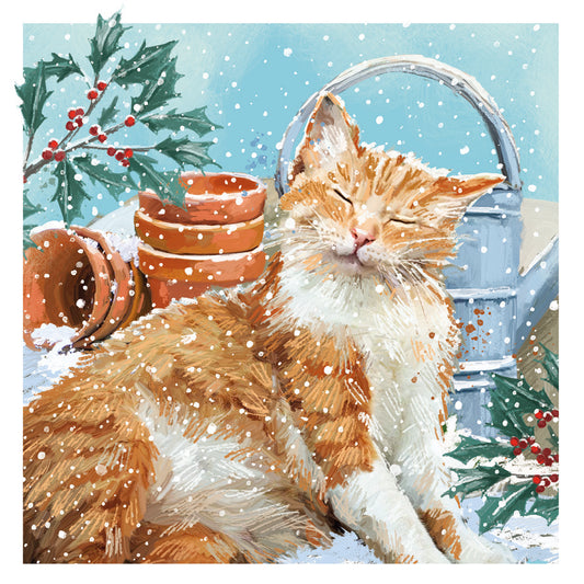 Happy Cat