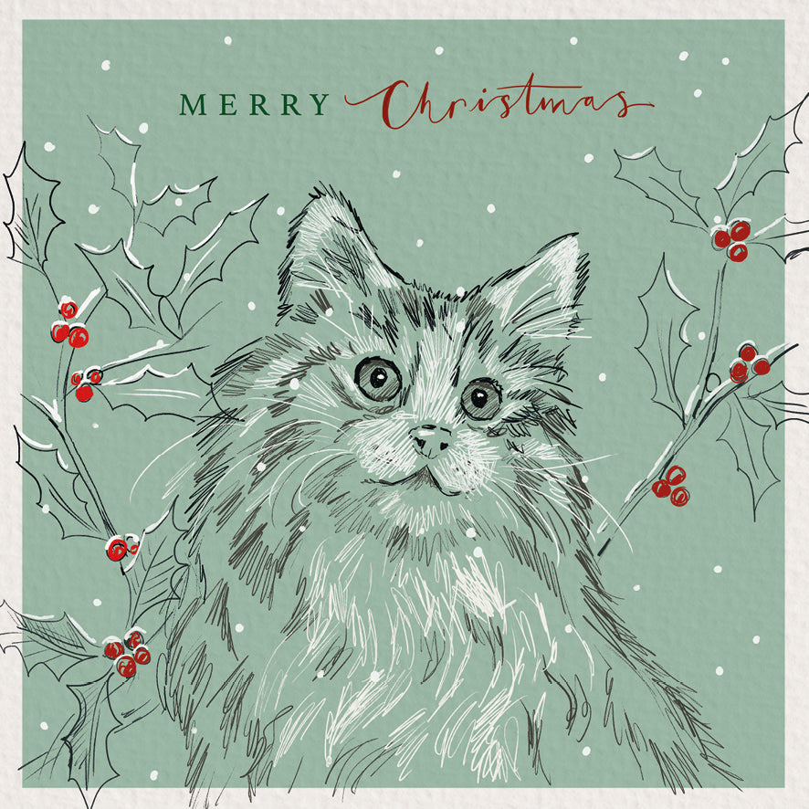 Cat at Christmas