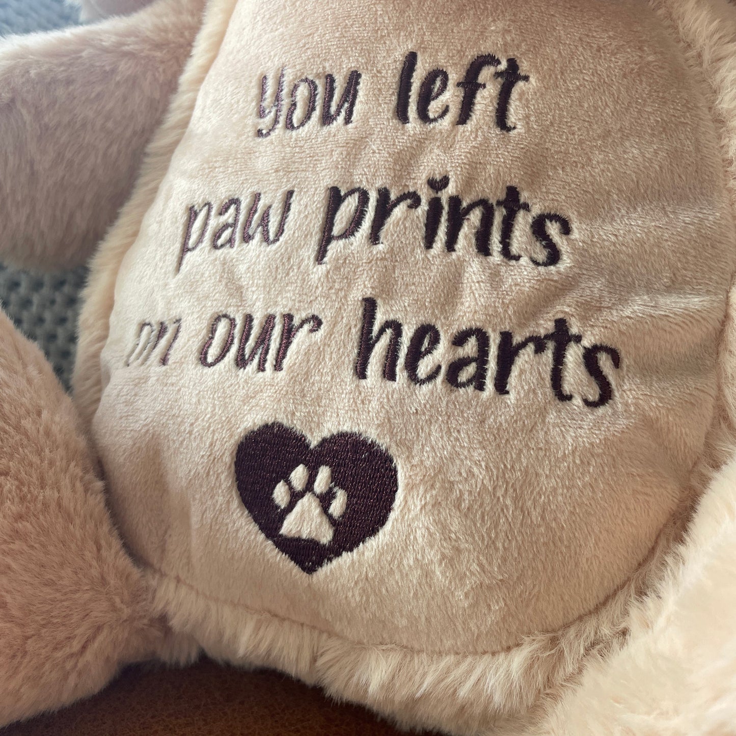 Comfort Dog - Oh So Precious