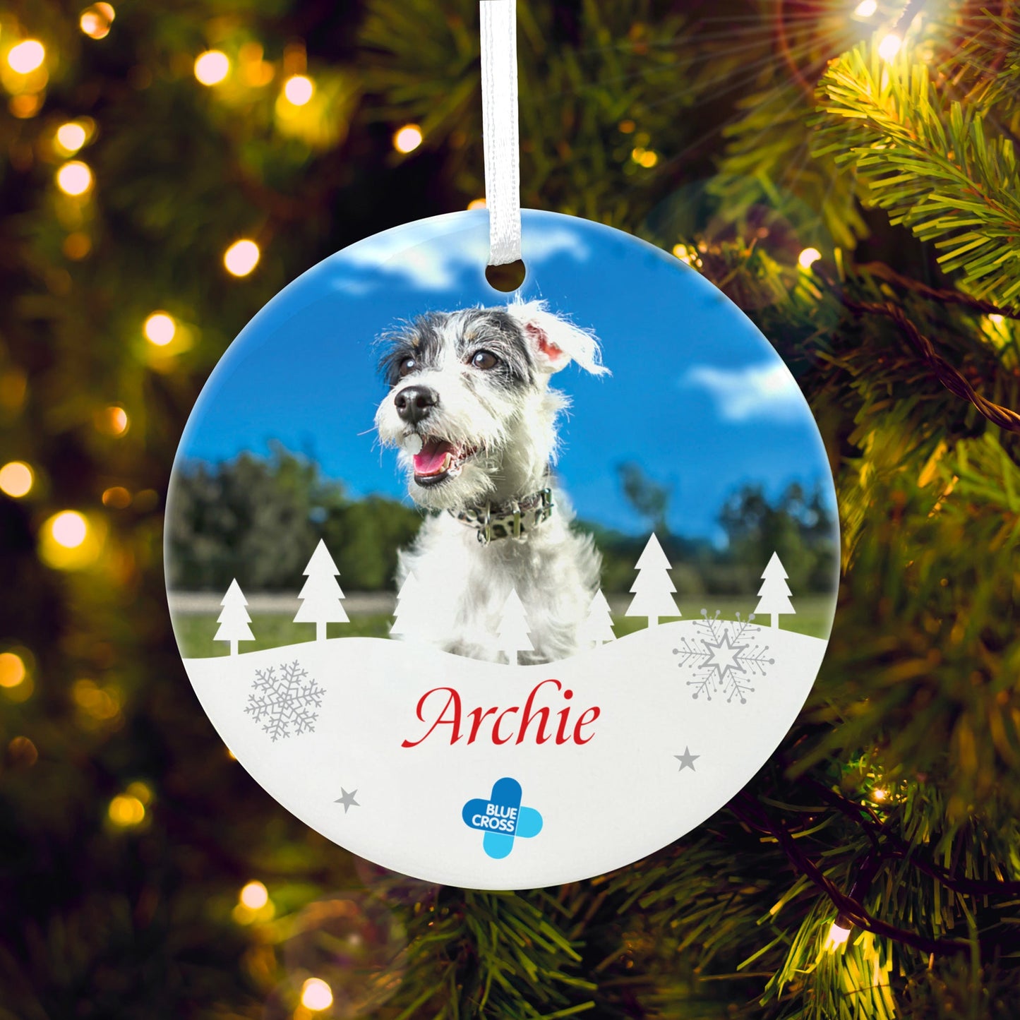 Blue Cross Personalised Pet Ceramic Hanging Decoration + Gift Box