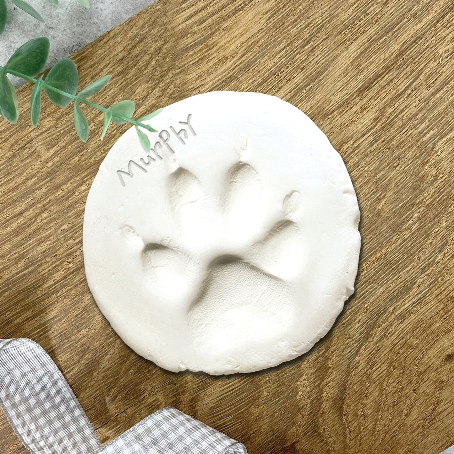 Complete Pet Keepsake Kit - Oh So Precious