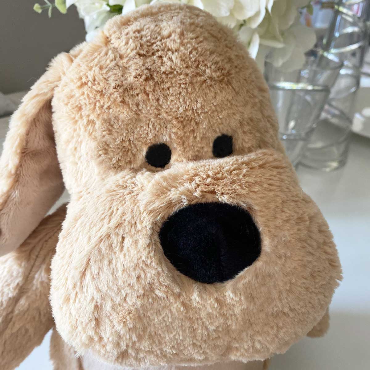 Comfort Dog - Oh So Precious