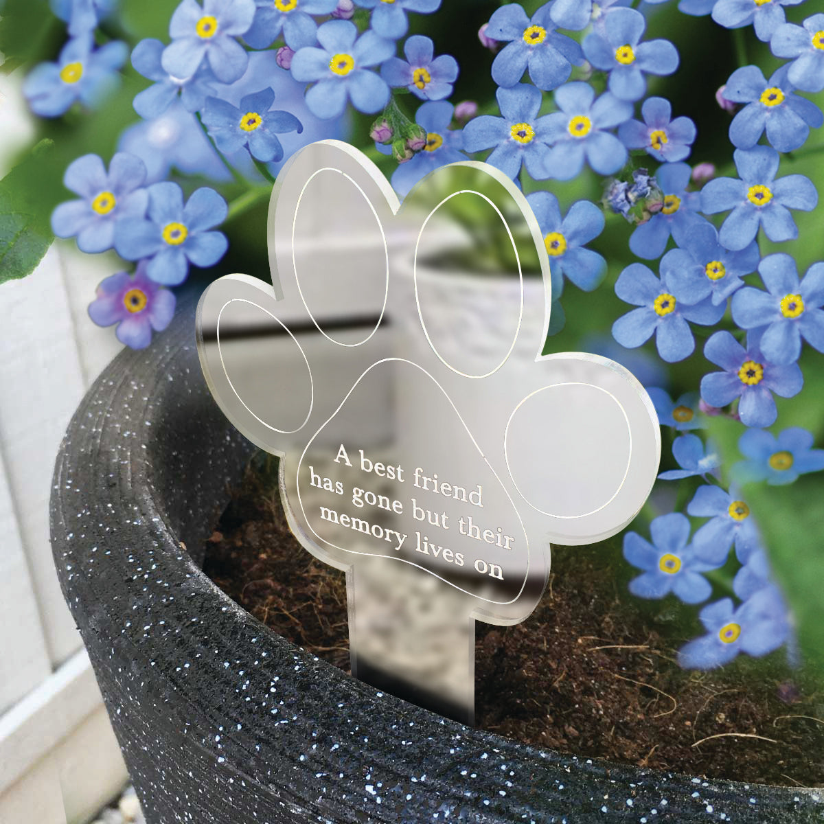 Paw Print Memorial Garden Planter & Forget Me Not Seeds - Oh So Precious