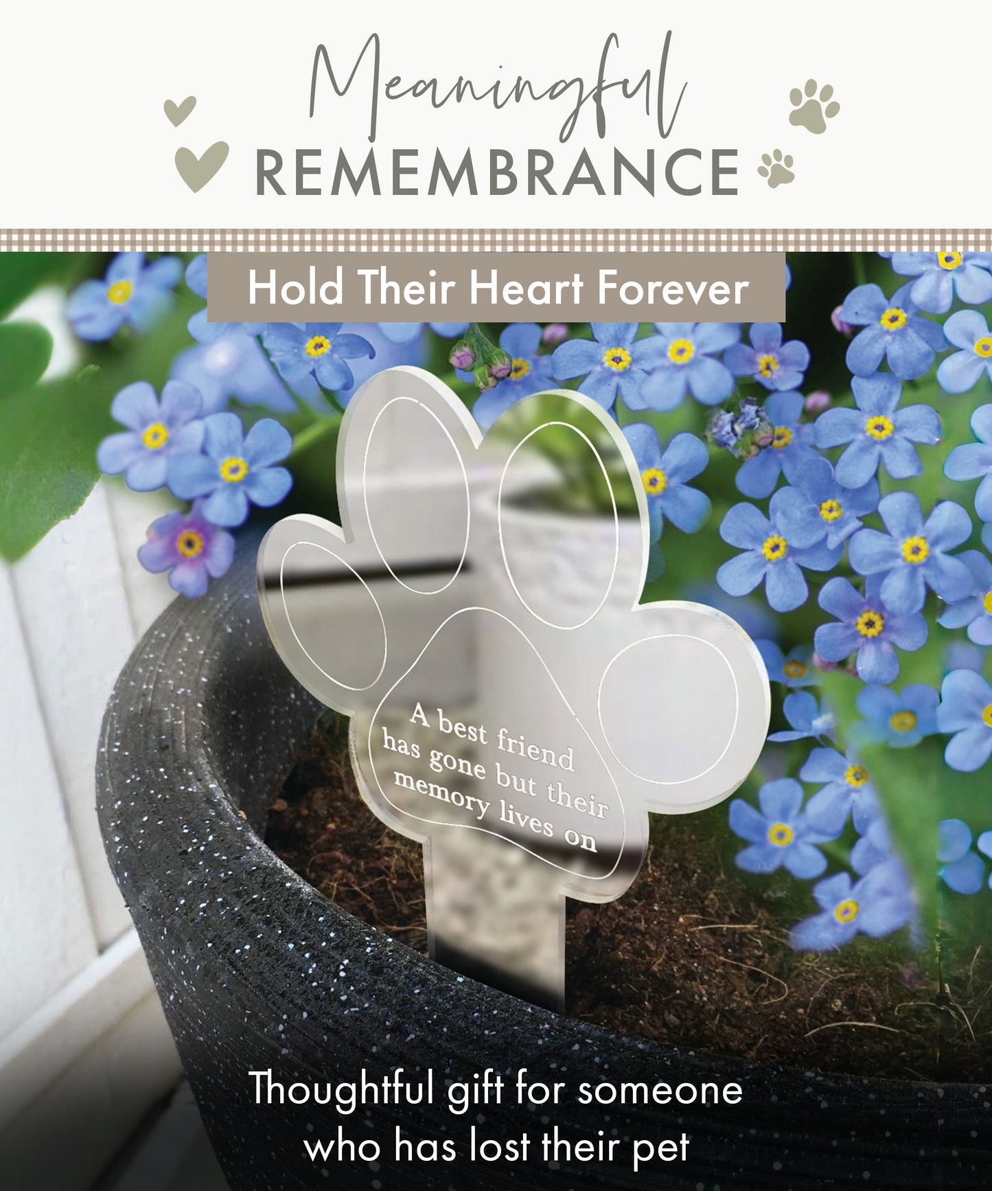 Paw Print Memorial Garden Planter & Forget Me Not Seeds - Oh So Precious