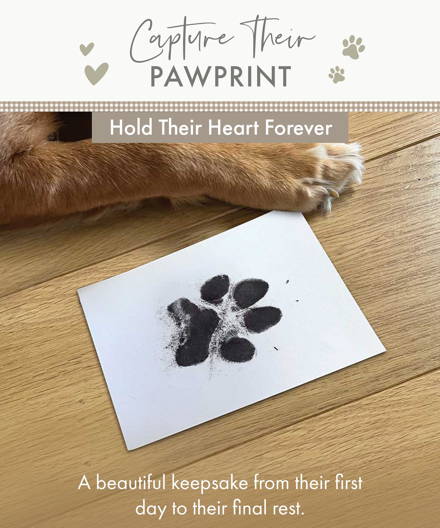 Pet Safe Non-toxic Paw Print Ink Pad Kit - Oh So Precious