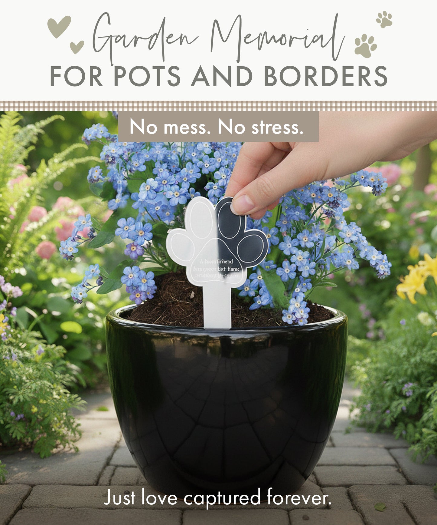 Paw Print Memorial Garden Planter & Forget Me Not Seeds - Oh So Precious