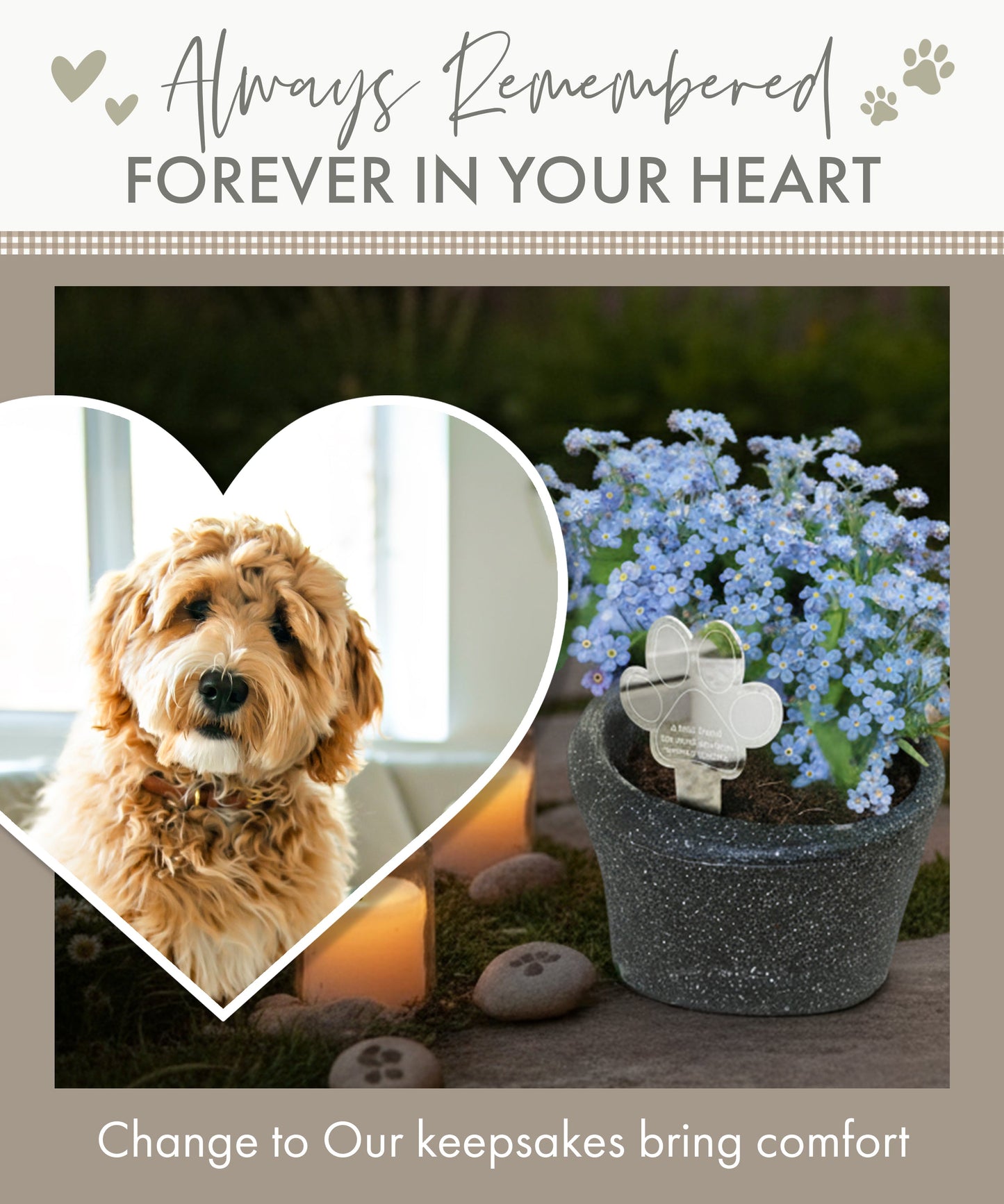 Paw Print Memorial Garden Planter & Forget Me Not Seeds - Oh So Precious