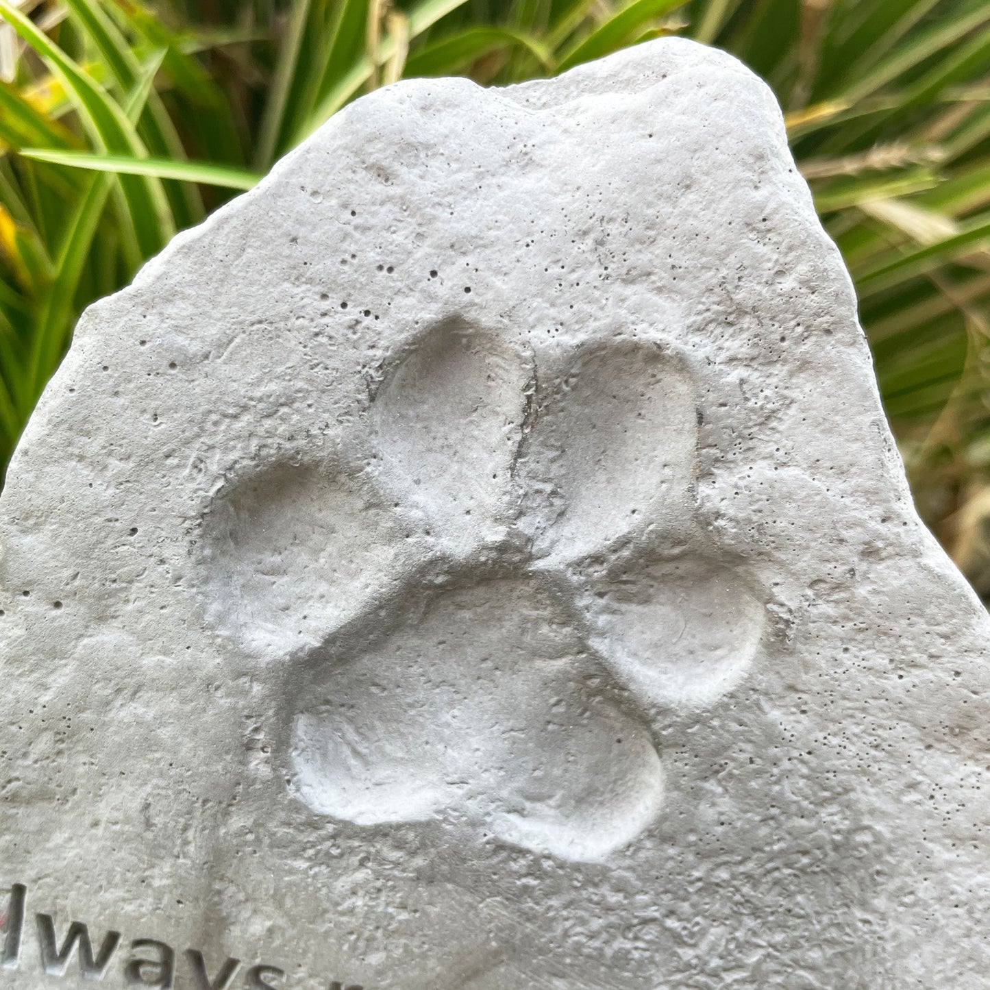 Pet Memorial Stone or Grave Marker - Oh So Precious