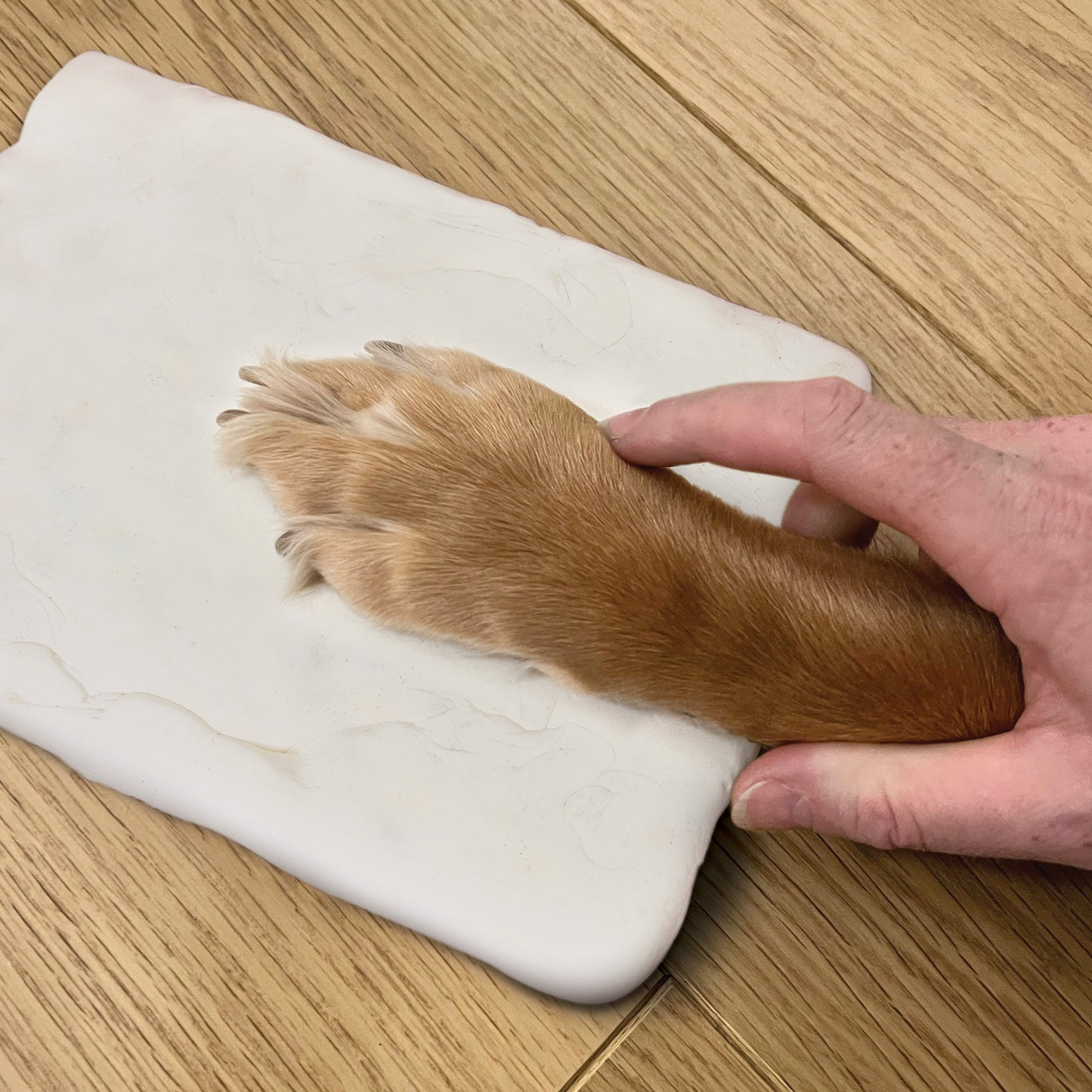 Paw Print Clay Mould & Photo Frame Kit - Oh So Precious