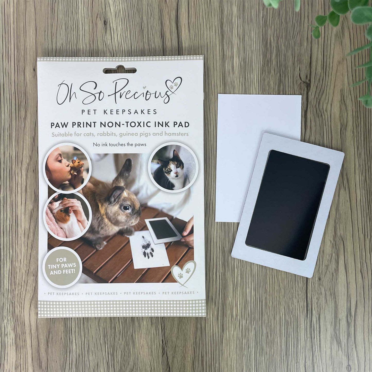 Paw Print Non-toxic Paw Print Ink Pad Kit For Small Mammals - Oh So Precious