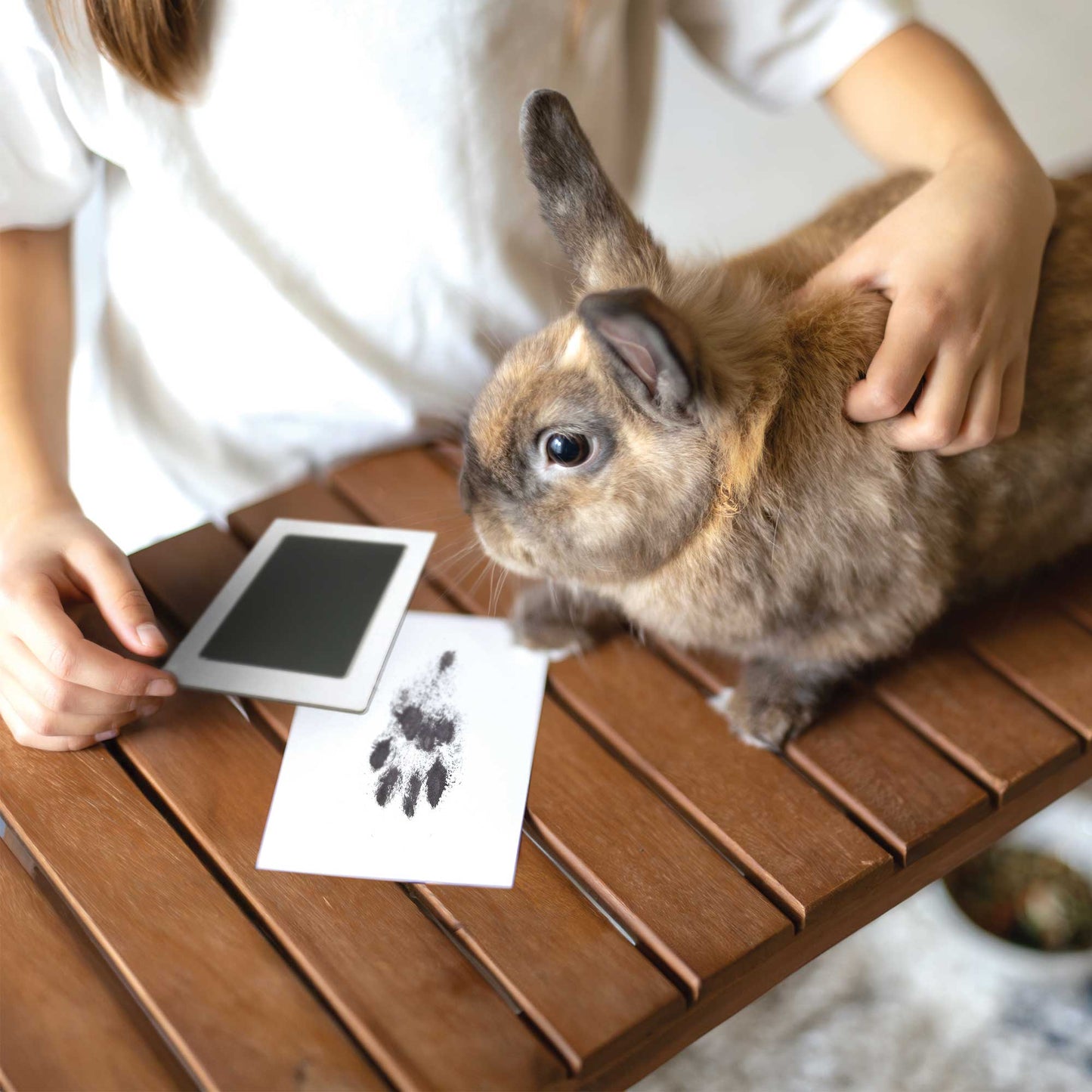 Paw Print Non-toxic Paw Print Ink Pad Kit For Small Mammals - Oh So Precious