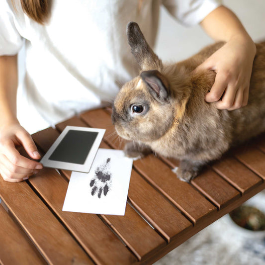 Paw Print Non-toxic Paw Print Ink Pad Kit For Small Mammals - Oh So Precious