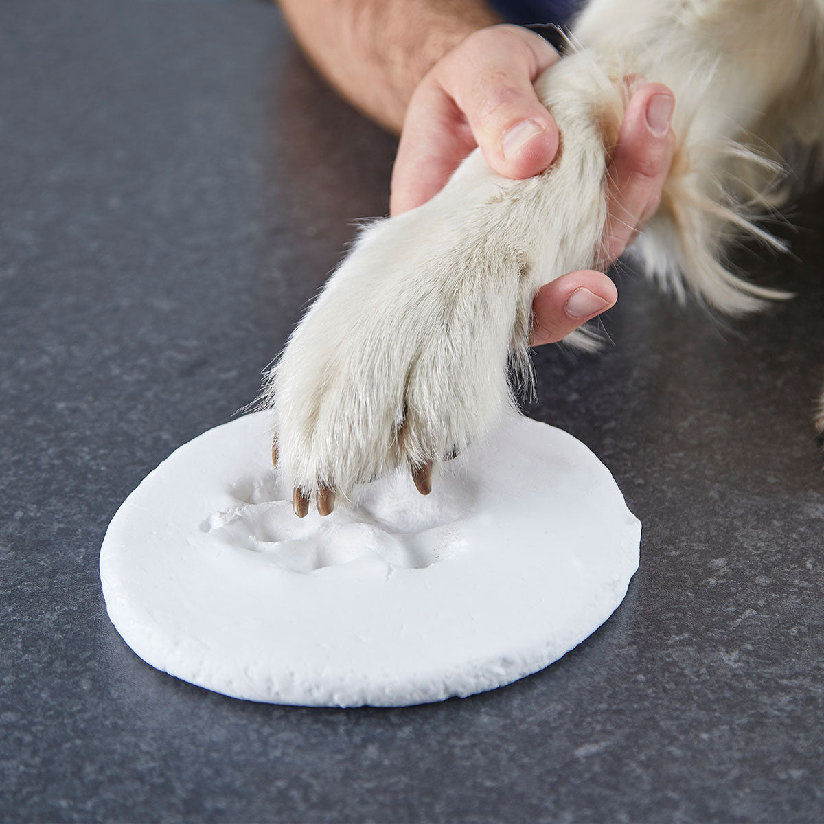 Clay Pet Paw Impression Moulding Kit - Oh So Precious