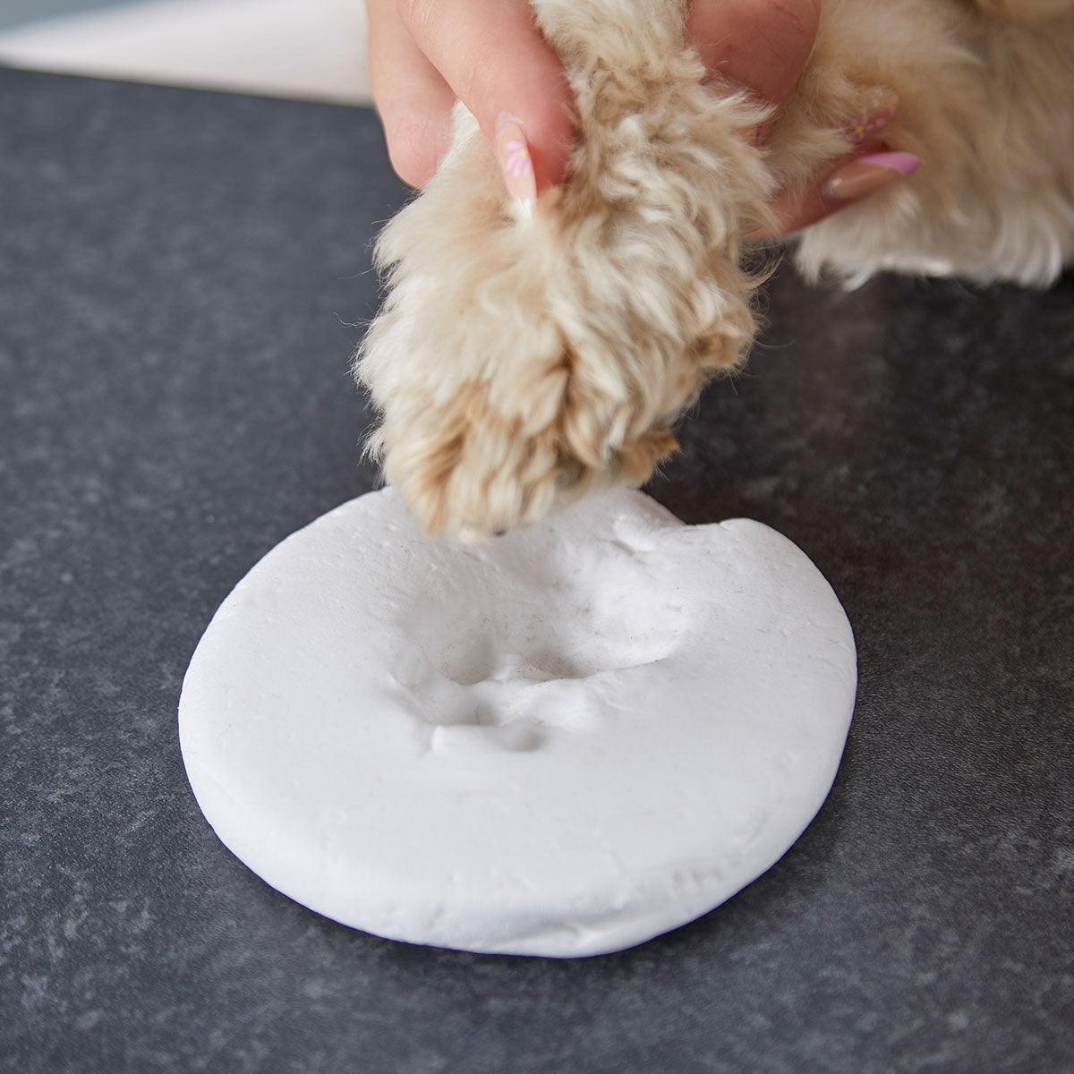Pet Paw Print Clay Impression Tin - Oh So Precious