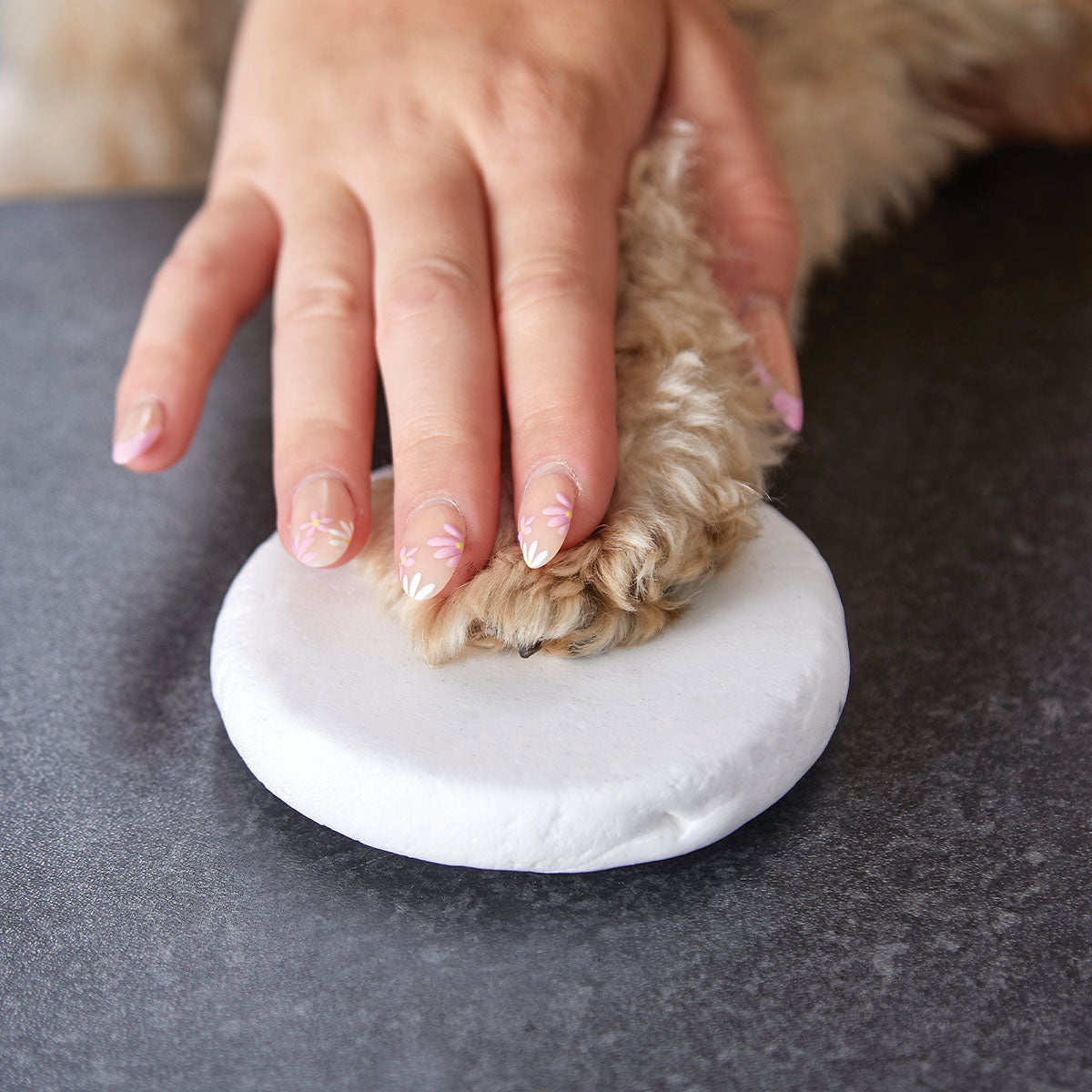 Clay Pet Paw Impression Moulding Kit - Oh So Precious