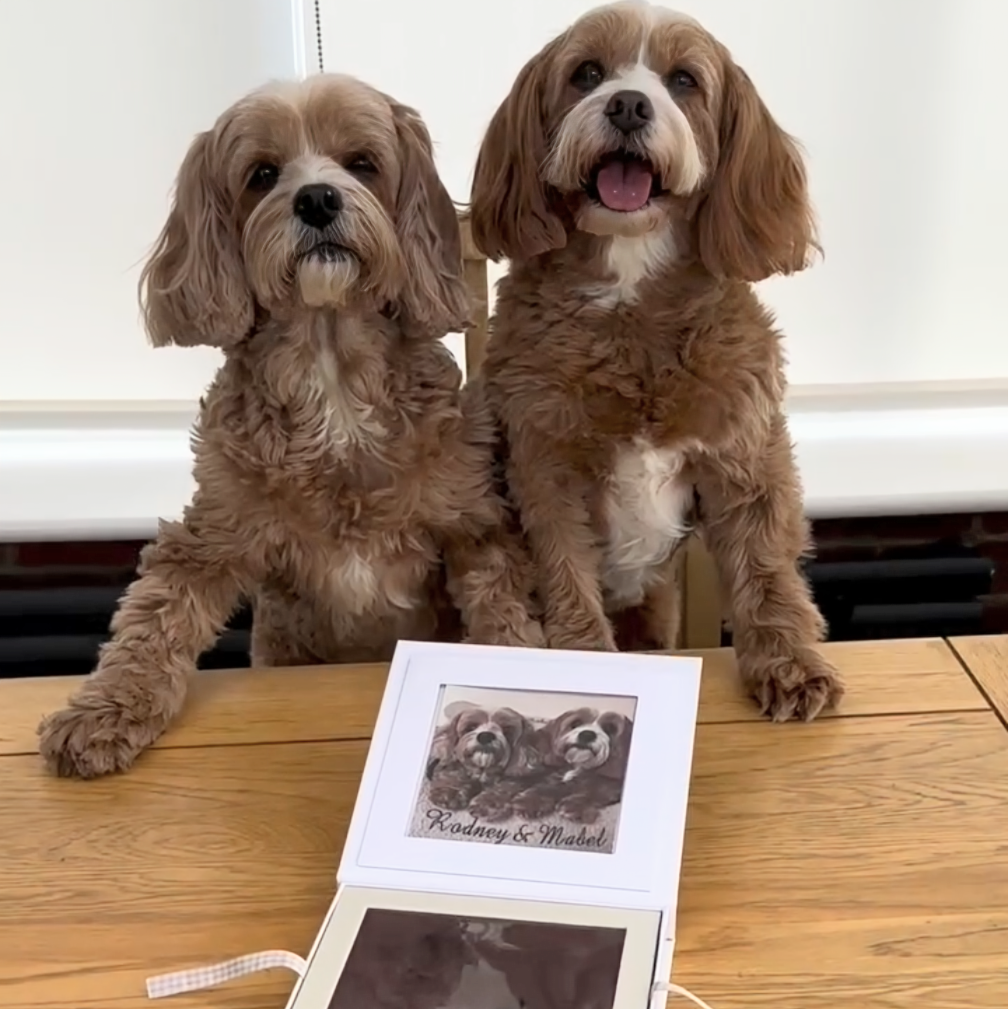 Paw Pad Impression Keepsake - Oh So Precious