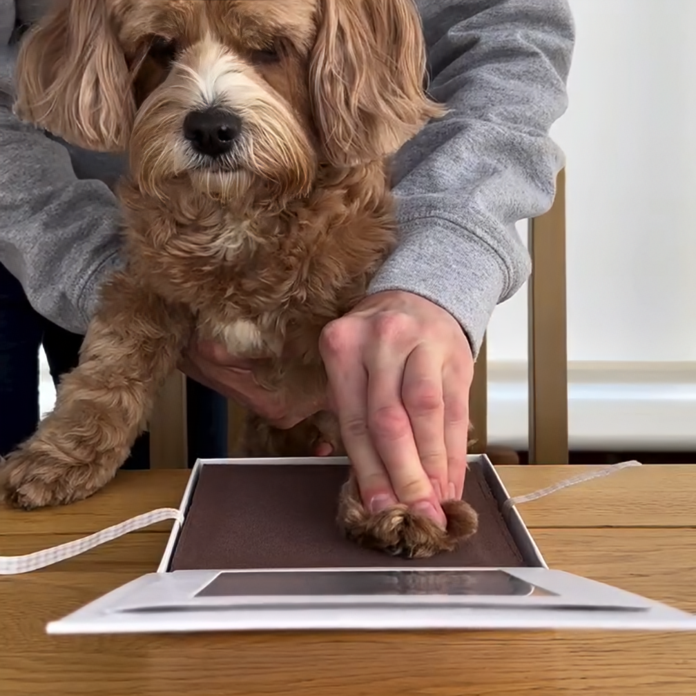Paw Pad Impression Keepsake - Oh So Precious