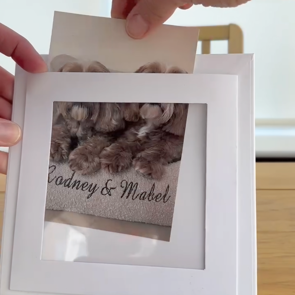 Paw Pad Impression Keepsake - Oh So Precious
