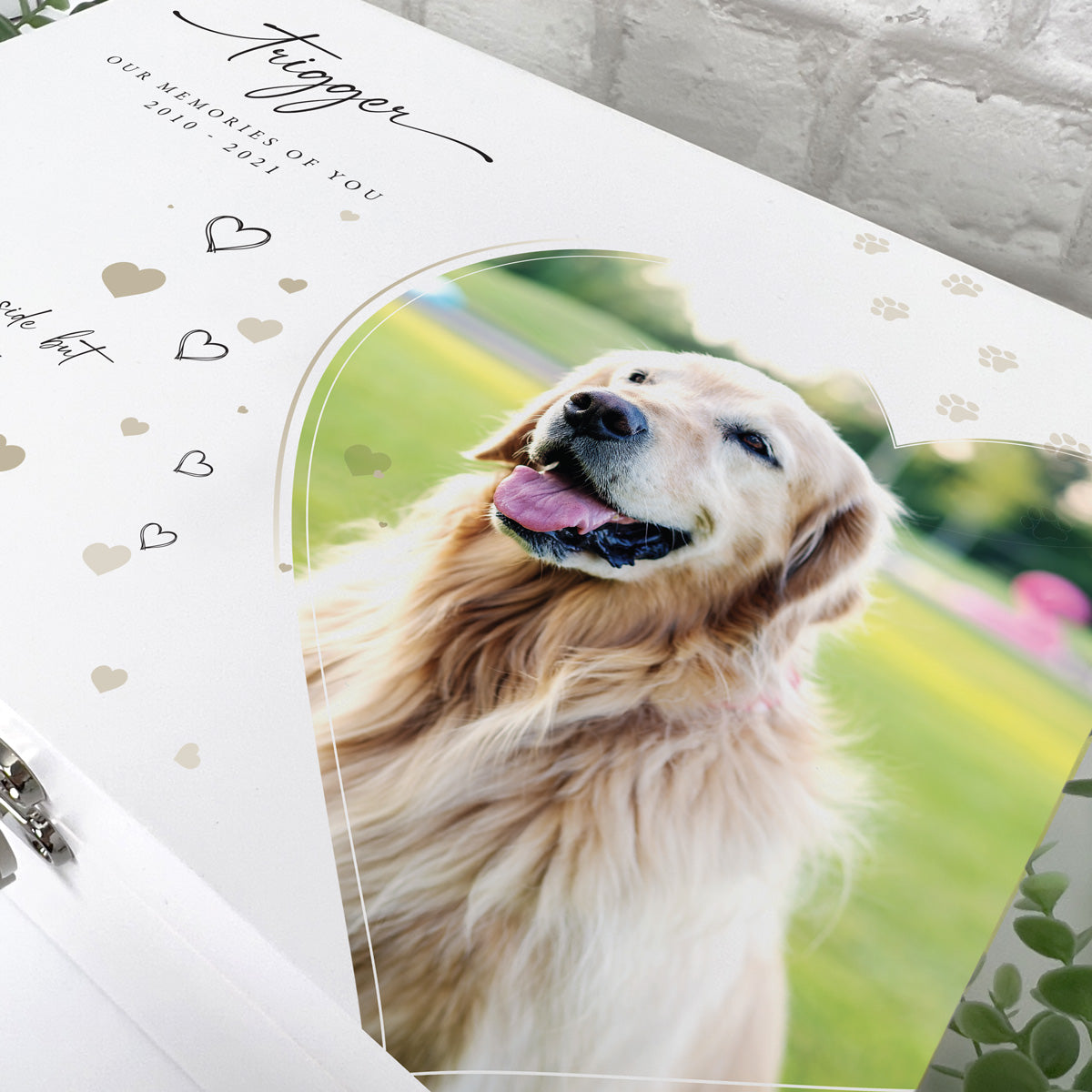 Personalised Pet Photo Memorial White Wooden Keepsake Box - 3 Sizes (22cm | 27cm | 30cm)