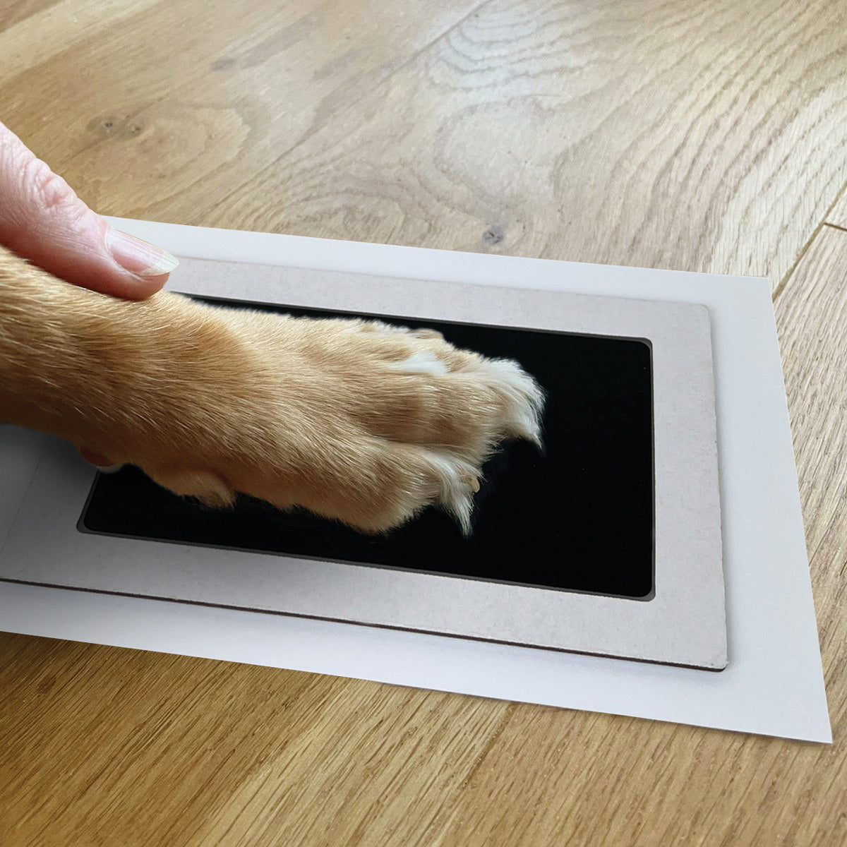 Pet Safe Non-toxic Paw Print Ink Pad Kit - Oh So Precious