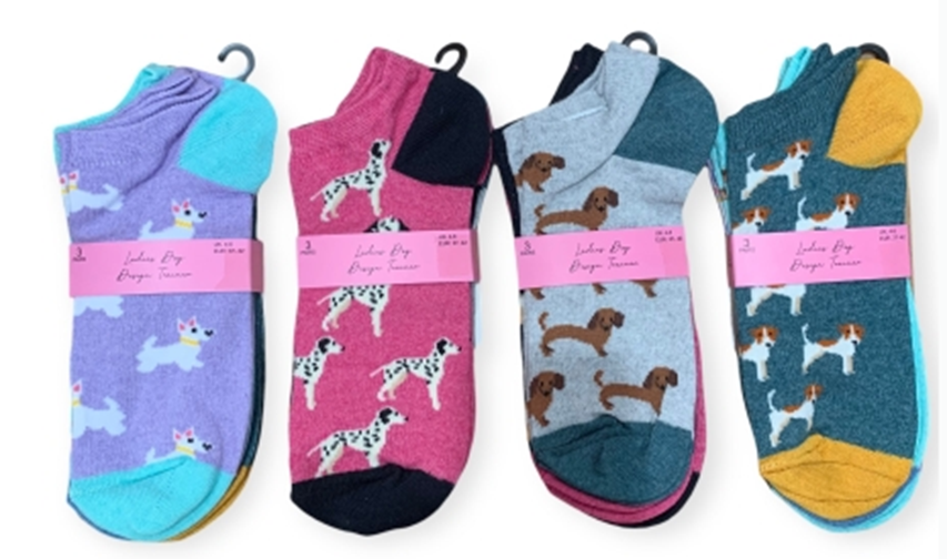 Pack of 3 dog design trainer socks