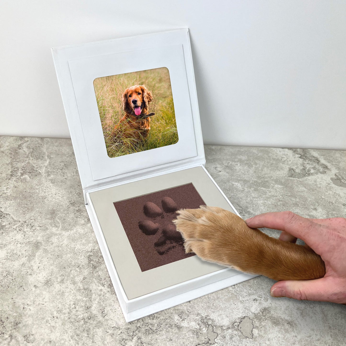 Paw Pad Impression Keepsake - Oh So Precious