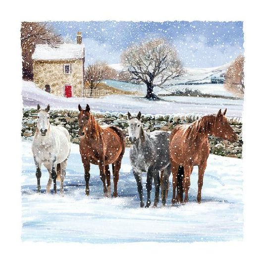 Horses in the Snowy Field