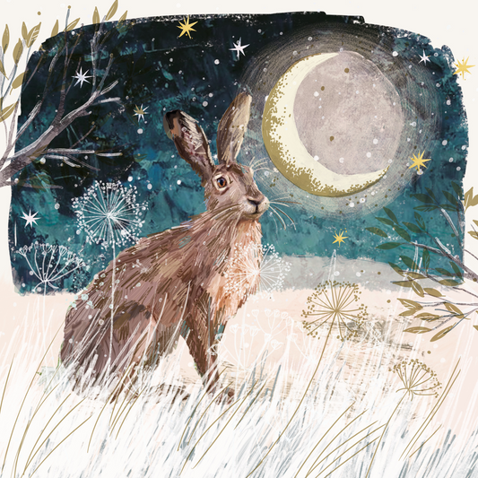 Moonlit Hare
