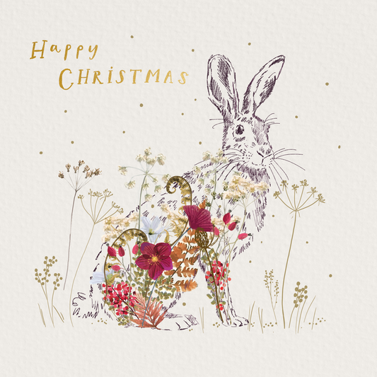 Ornate Hare