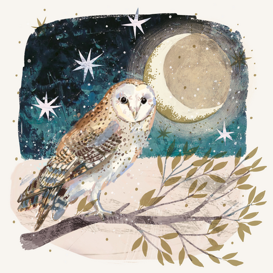 Moonlit Owl