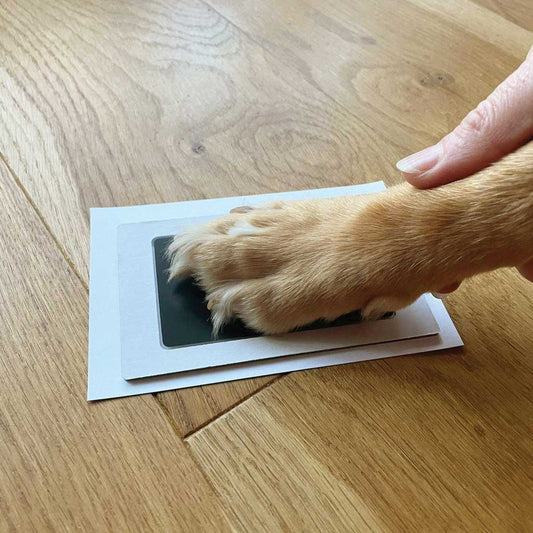 Pet Safe Non-toxic Paw Print Ink Pad Kit - Oh So Precious