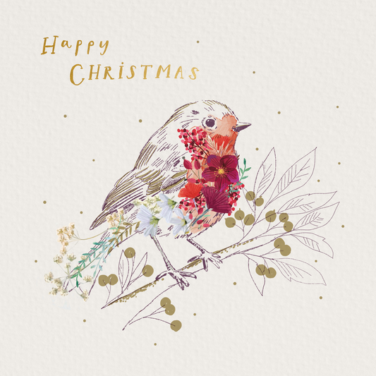 Beautiful Robin