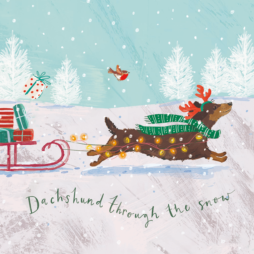 Dachschund